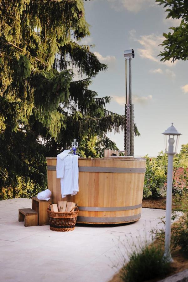 Holiday home Vilma Vineyard Lendava