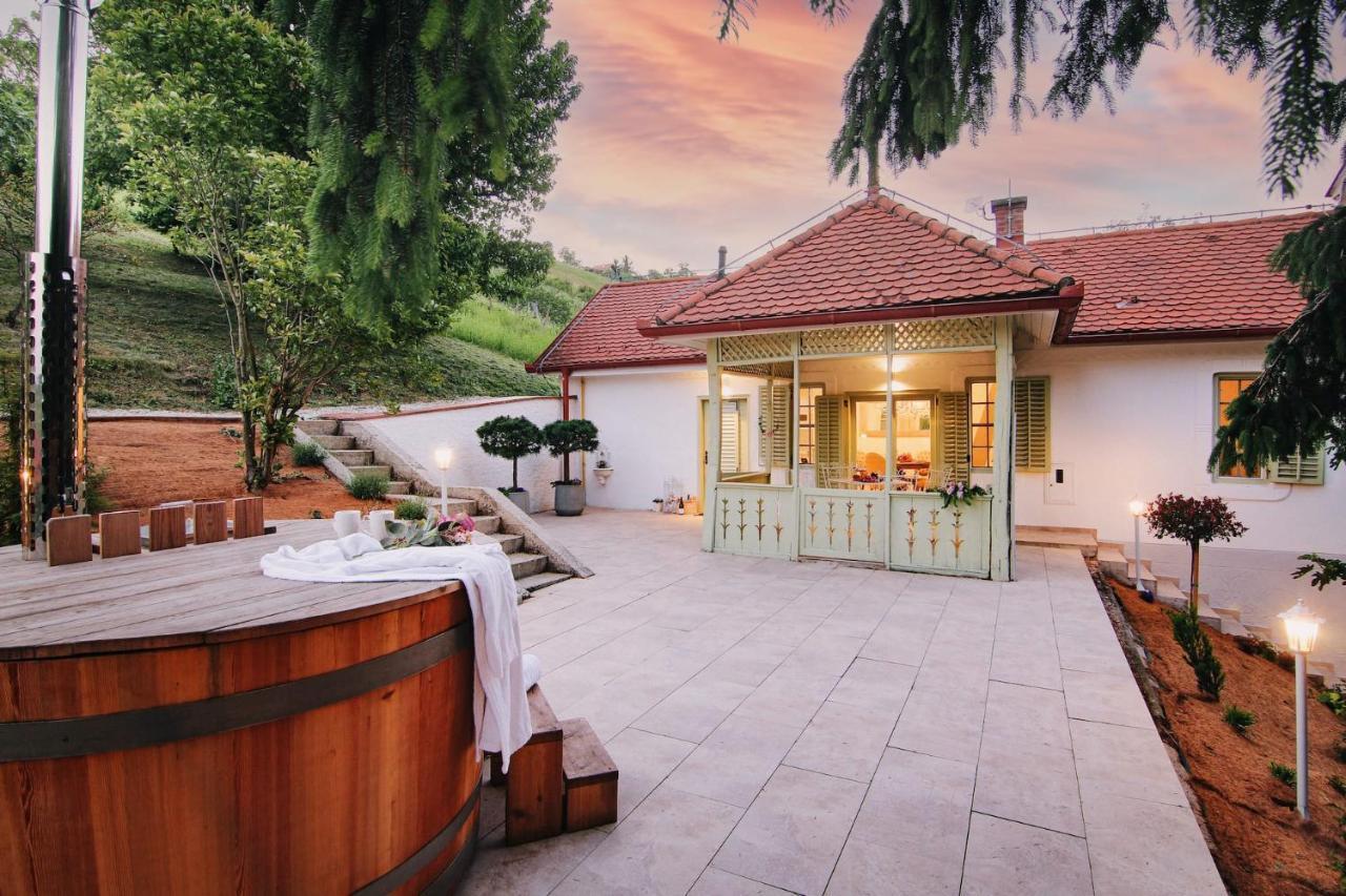 Vilma Vineyard